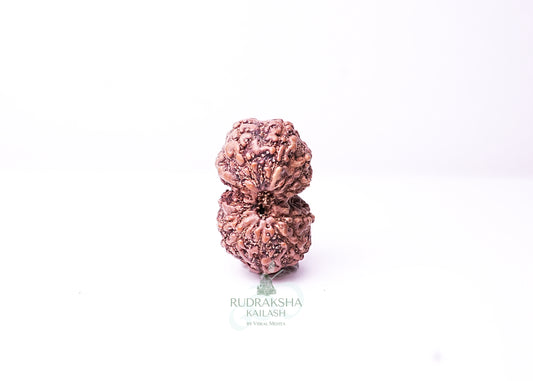 Indonesian Gaurishankar - 08