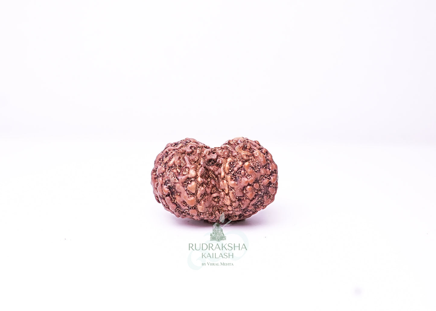 Indonesian Gaurishankar - 08