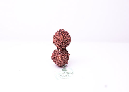 Indonesian Gaurishankar - 10