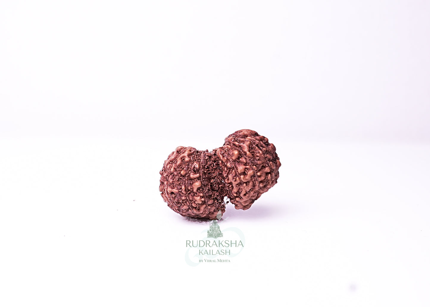 Indonesian Gaurishankar - 10