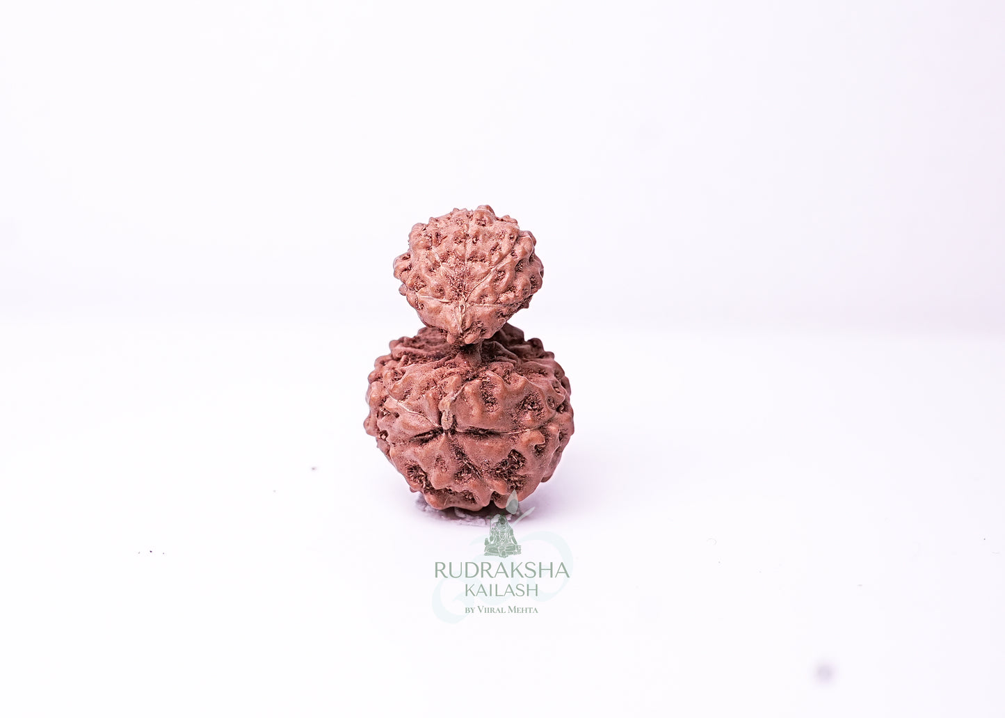 Indonesian Gaurishankar - 11
