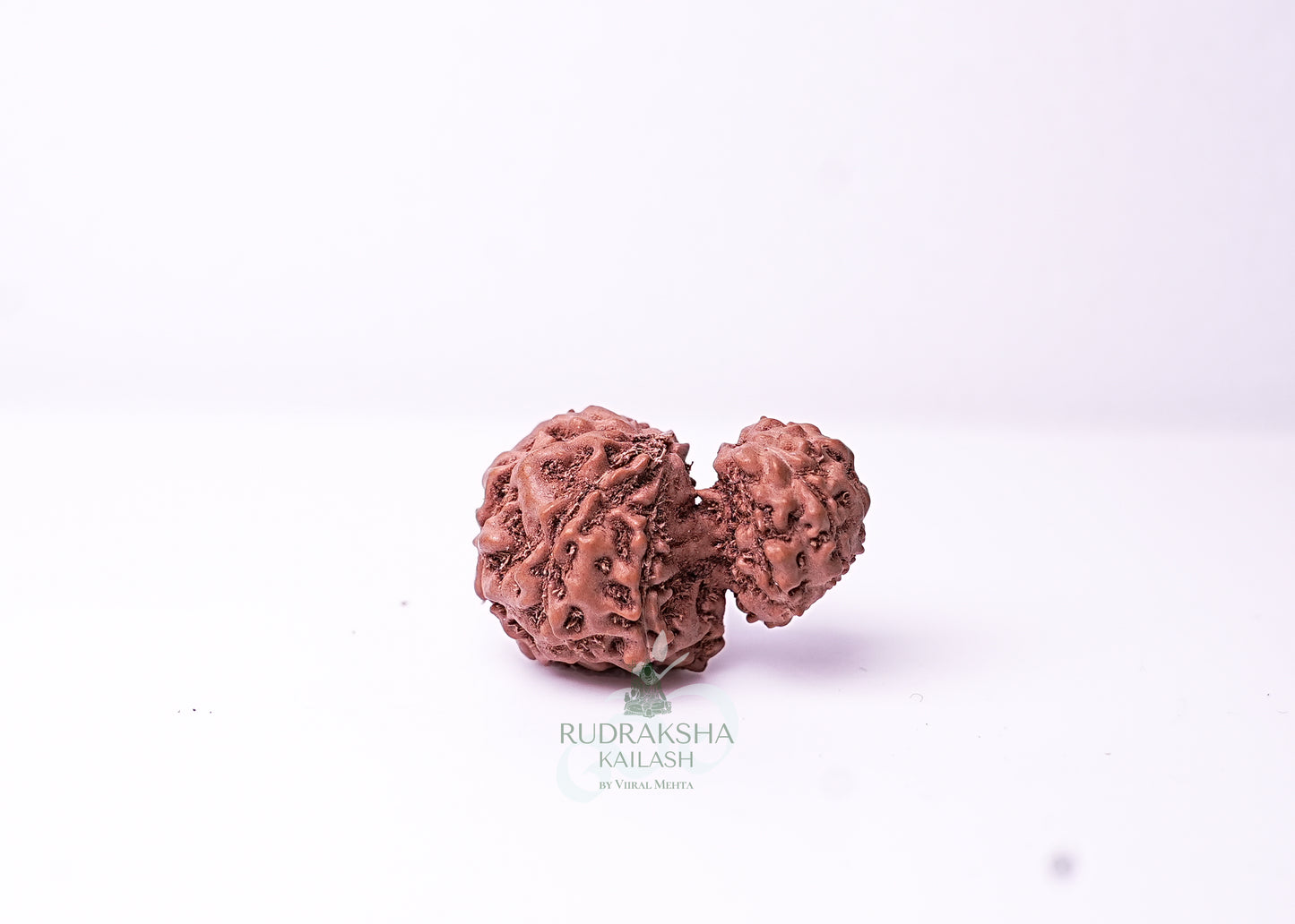 Indonesian Gaurishankar - 11