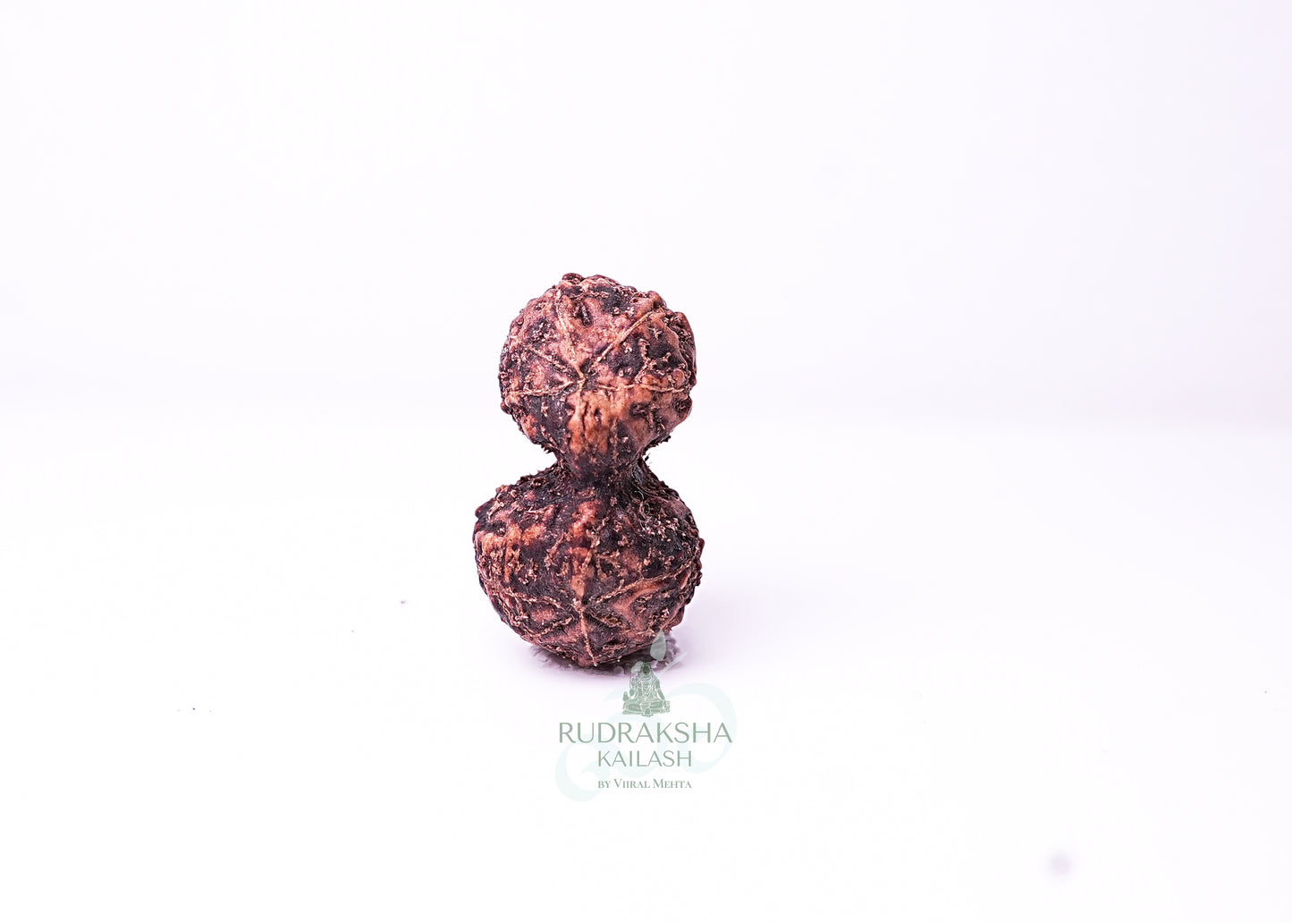 Indonesian Gaurishankar - 12