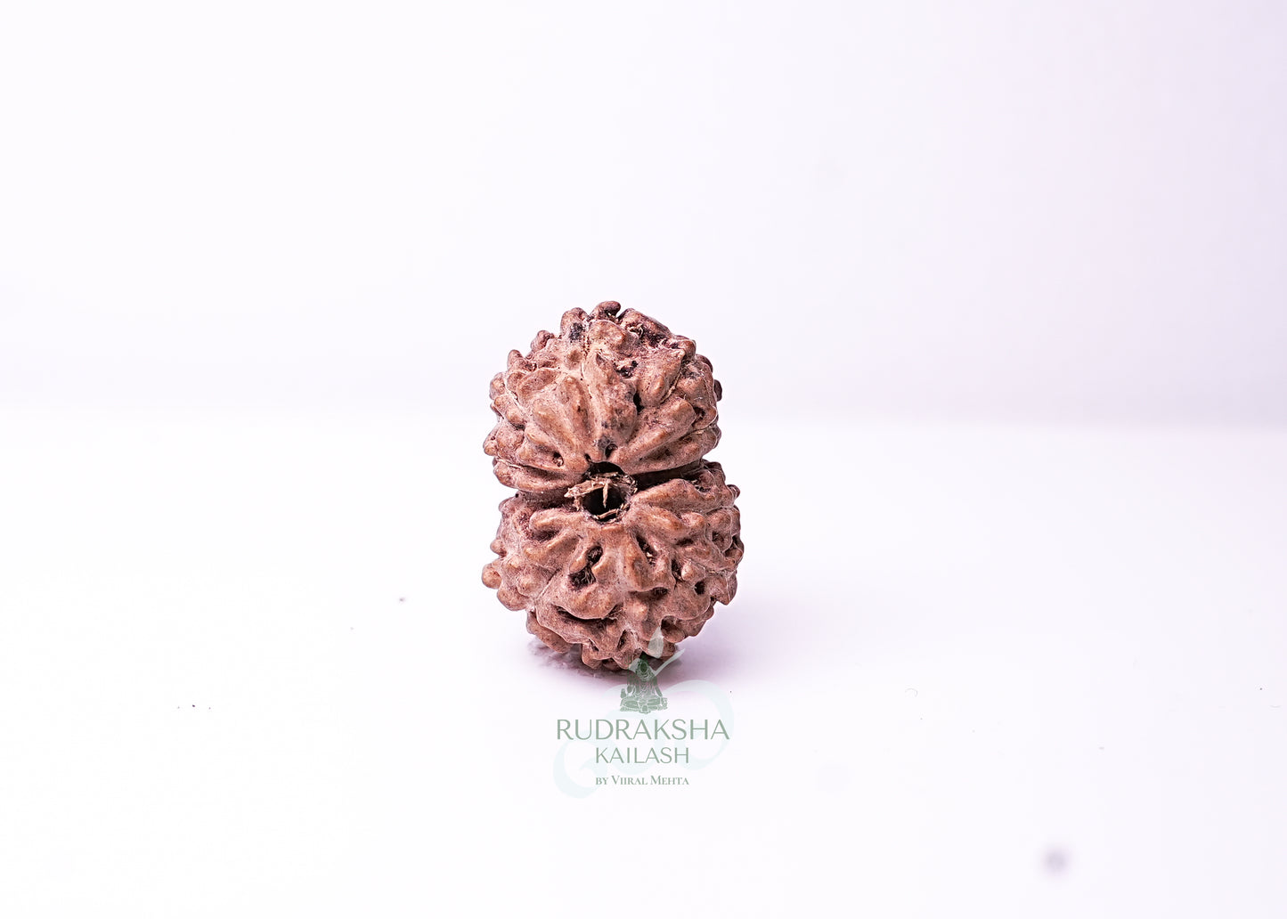 Indonesian Gaurishankar - 13