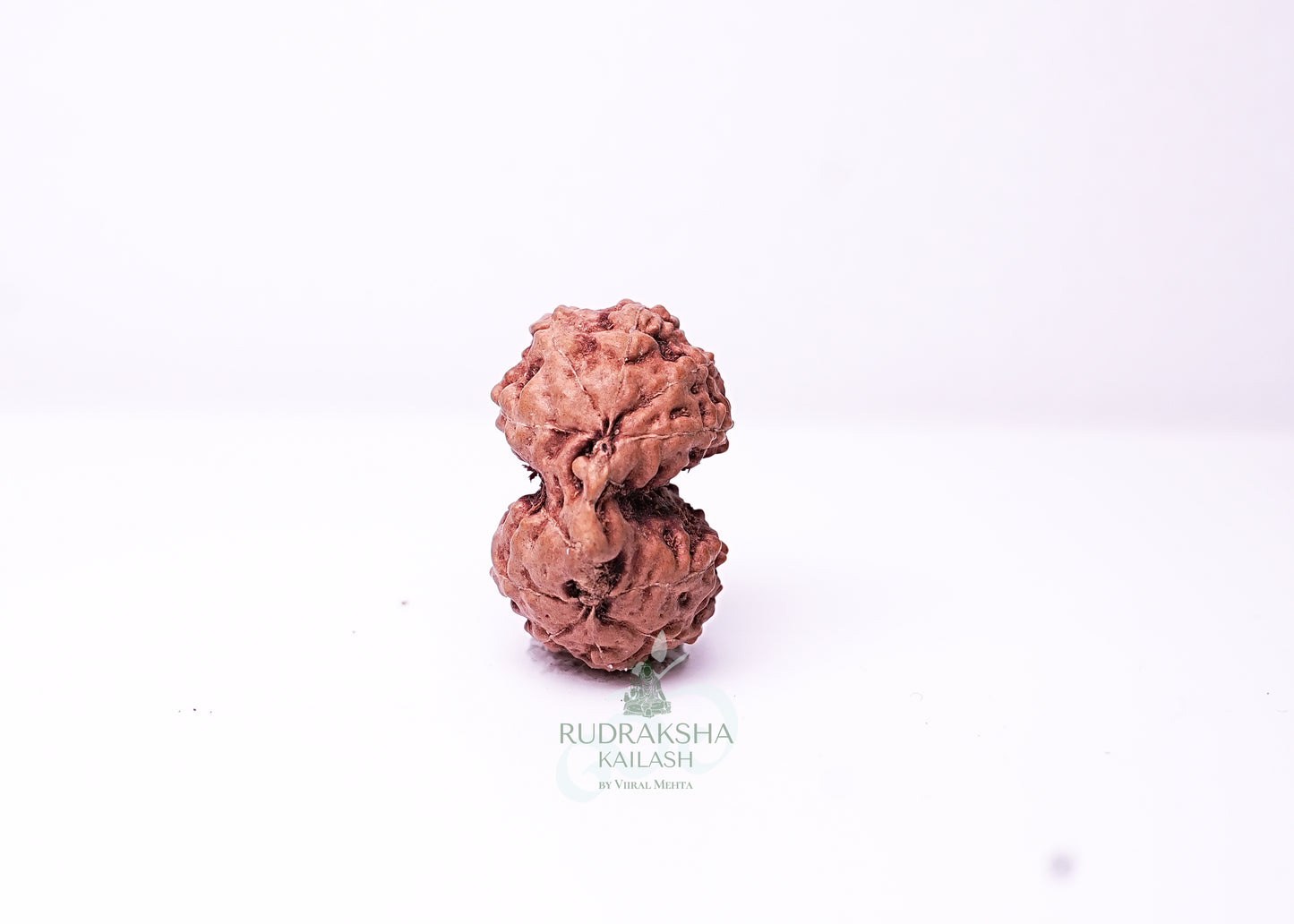 Indonesian Gaurishankar - 14