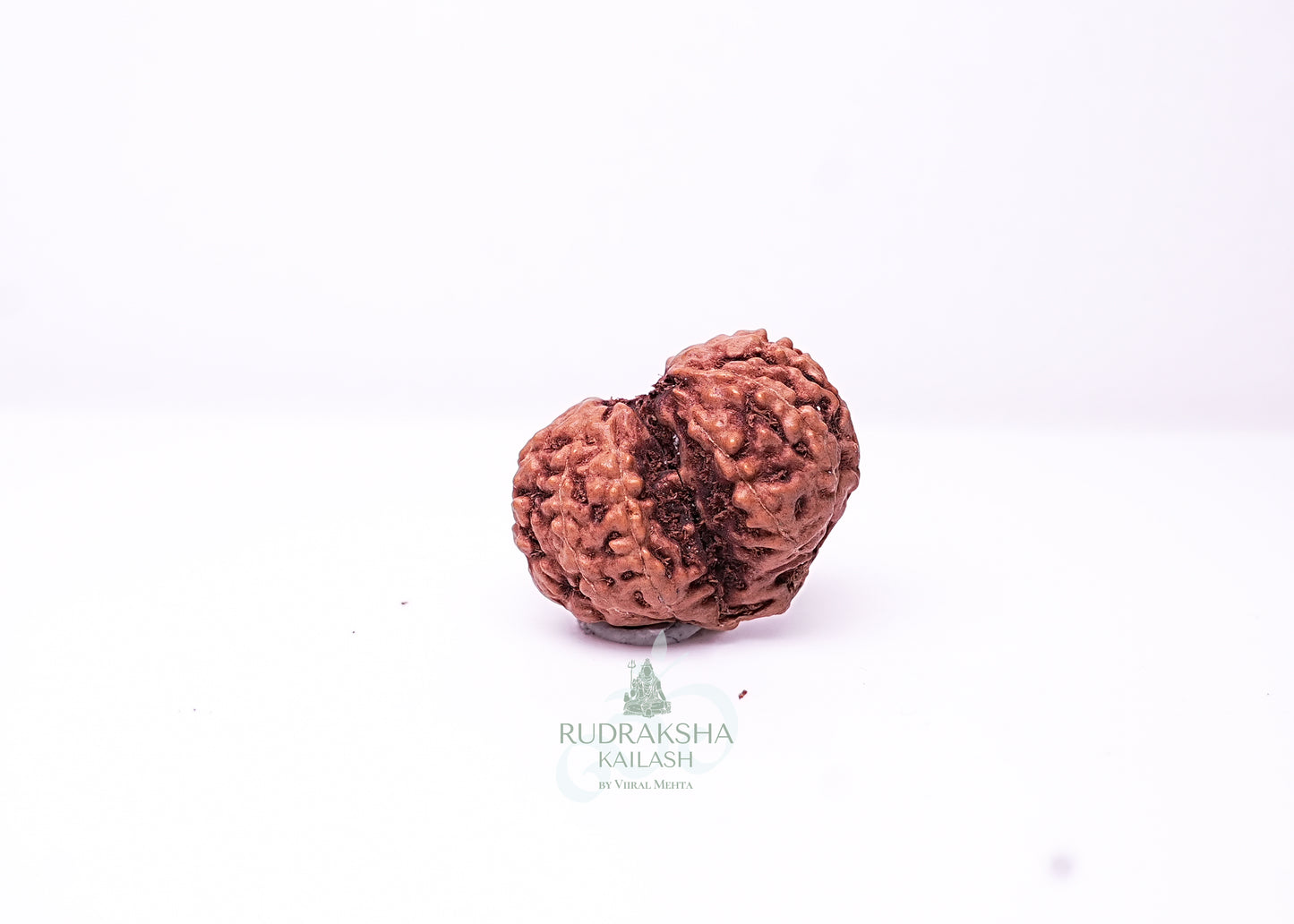 Indonesian Gaurishankar - 14