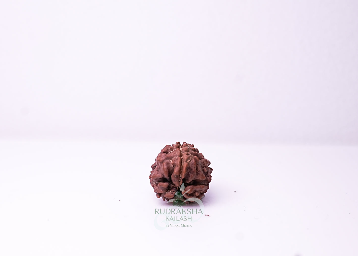 3 Mukhi Nepali Rudraksha - 0308
