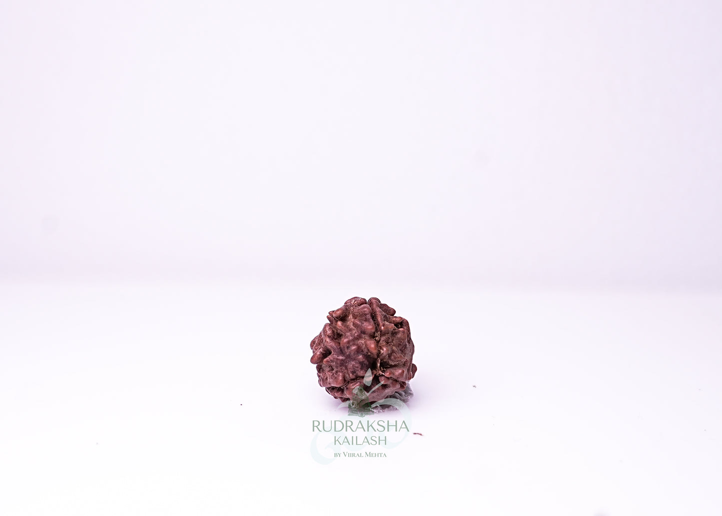 3 Mukhi Nepali Rudraksha - 0309