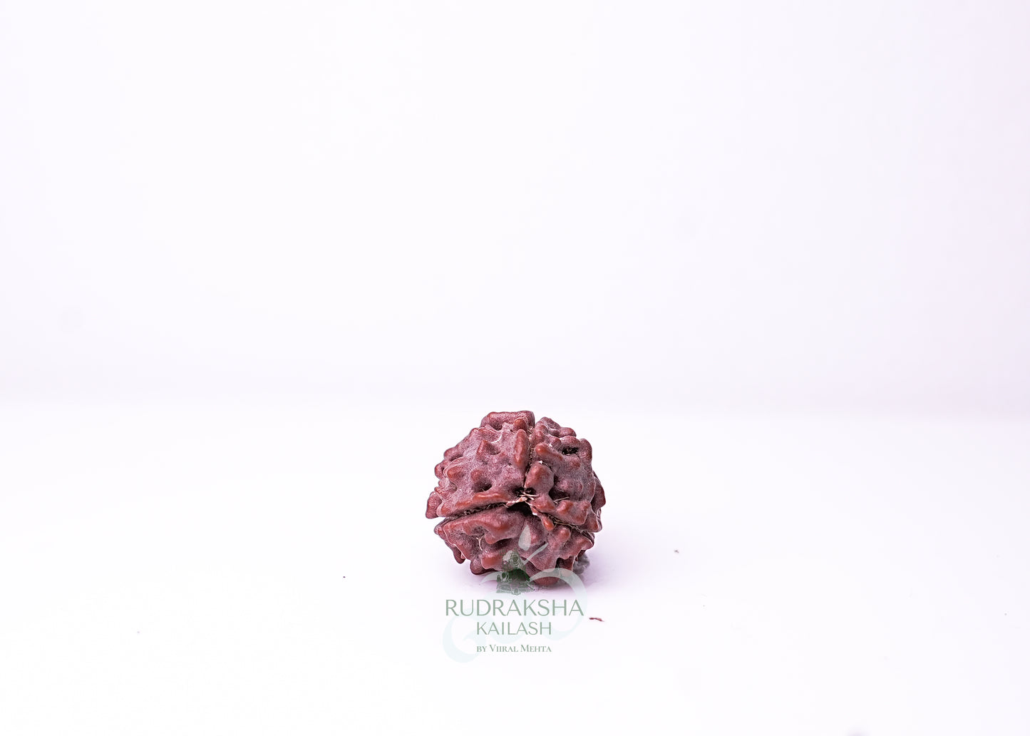 3 Mukhi Nepali Rudraksha - 0310