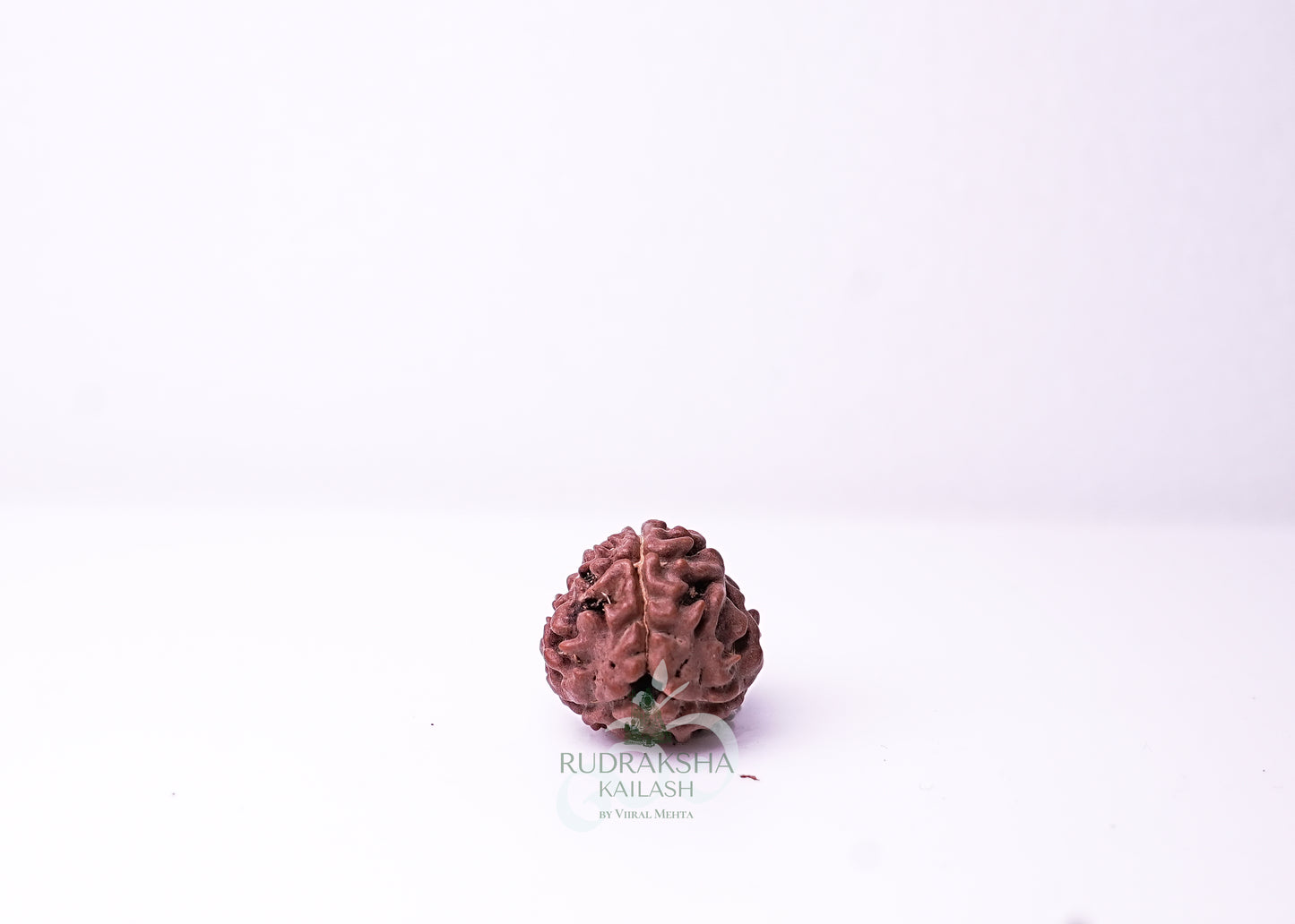 3 Mukhi Nepali Rudraksha - 0311