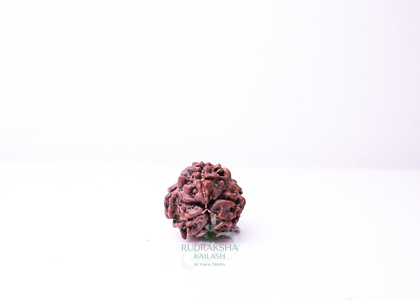 3 Mukhi Nepali Rudraksha - 0315