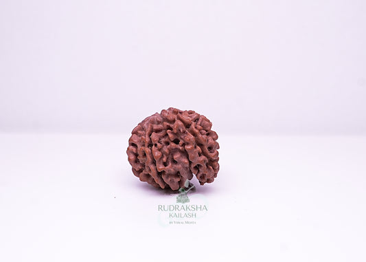 Nepal Sawaar - 01