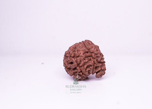 Nepal Sawaar - 14