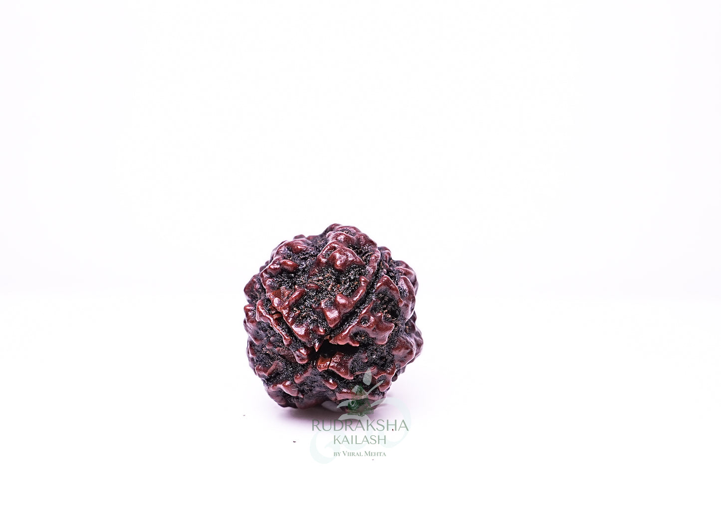 4 Mukhi Nepali Rudraksha - 0414