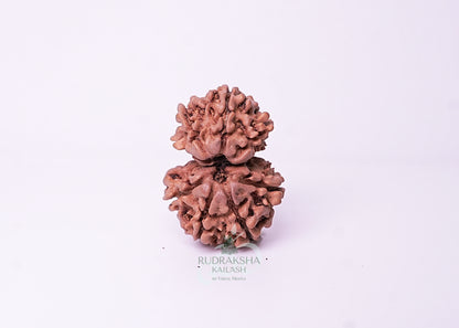 Nepal Garbhgauri - 01