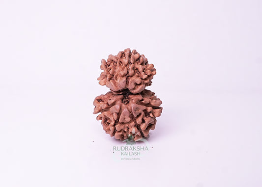 Nepal Garbhgauri - 01