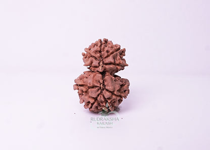 Nepal Garbhgauri - 01