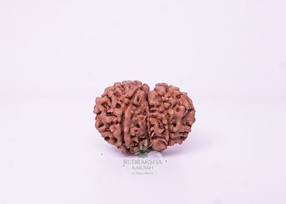 Nepal Garbhgauri - 01