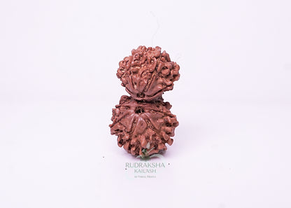 Nepal Garbhgauri - 02