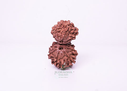 Nepal Garbhgauri - 02