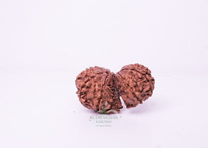 Nepal Garbhgauri - 02