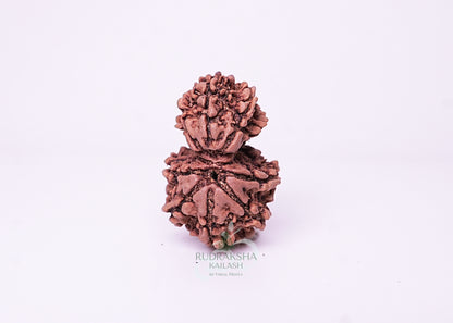 Nepal Garbhgauri - 03