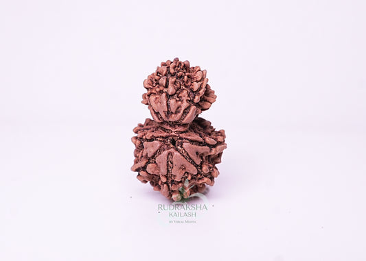 Nepal Garbhgauri - 03