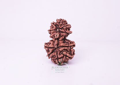 Nepal Garbhgauri - 03