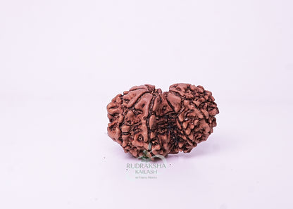 Nepal Garbhgauri - 03