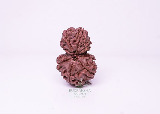 Nepal Garbhgauri - 05