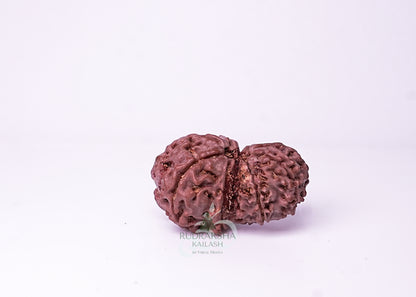 Nepal Garbhgauri - 05