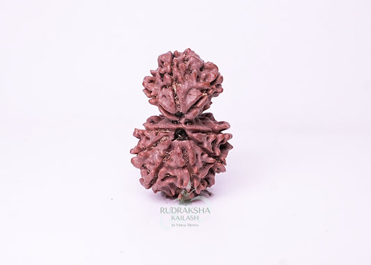 Nepal Garbhgauri - 06