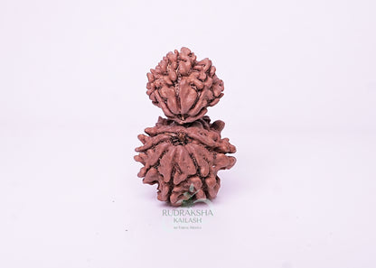 Nepal Garbhgauri - 07