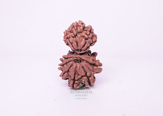 Nepal Garbhgauri - 07
