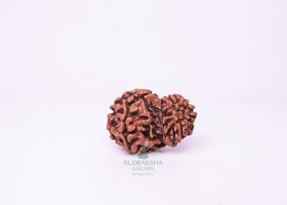 Nepal Garbhgauri - 08