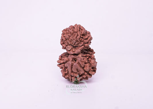 Nepal Garbhgauri - 09
