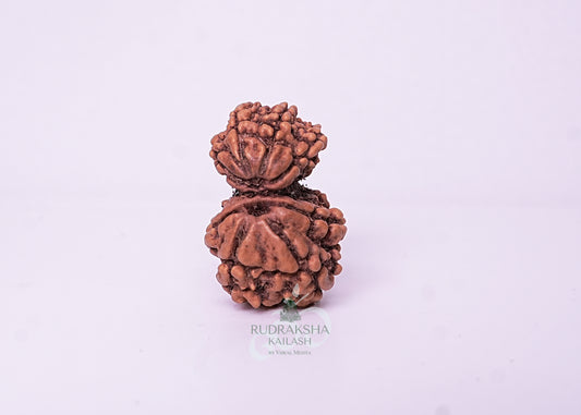 Nepal Garbhgauri - 11