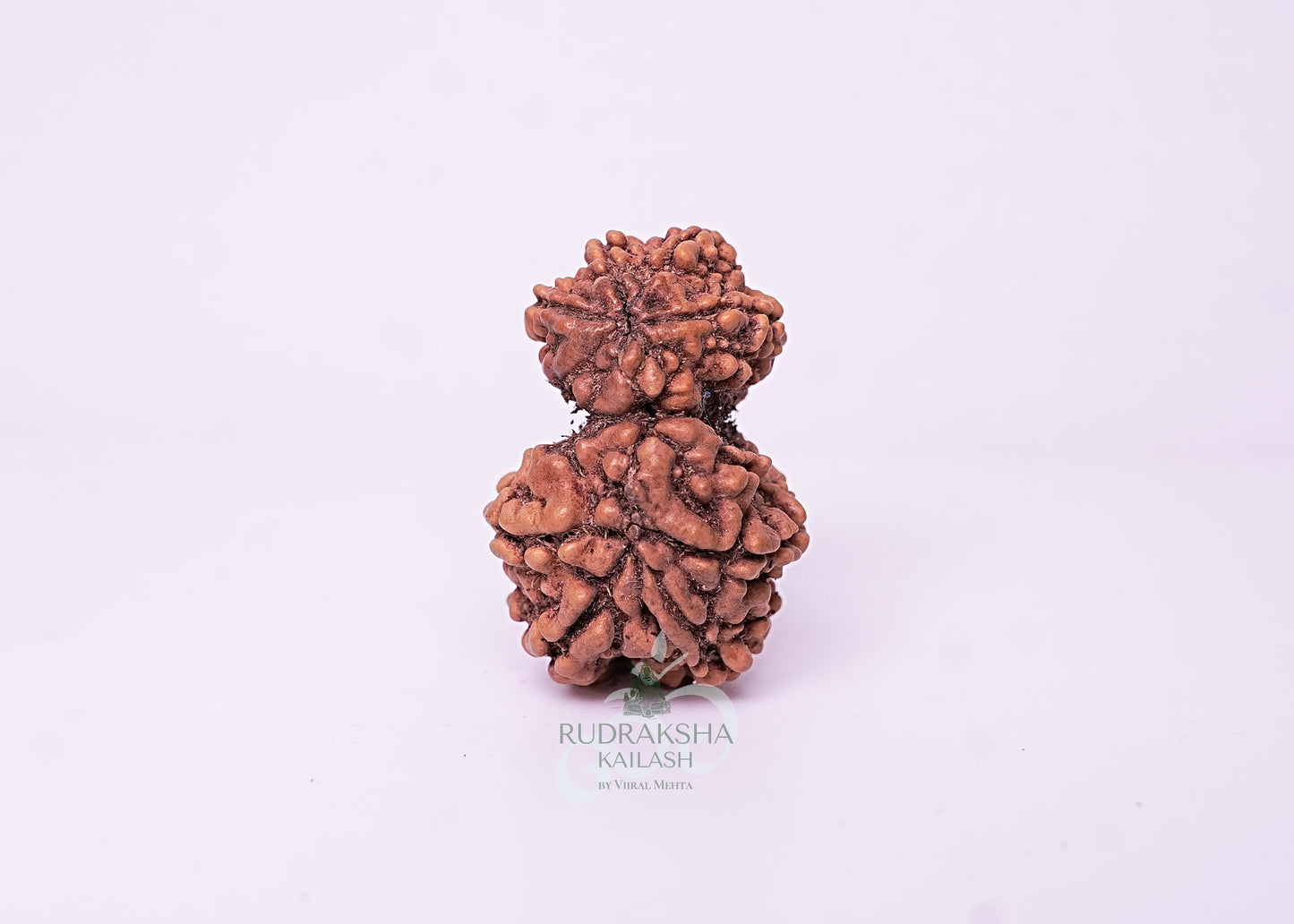Nepal Garbhgauri - 11