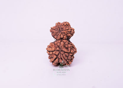 Nepal Garbhgauri - 11