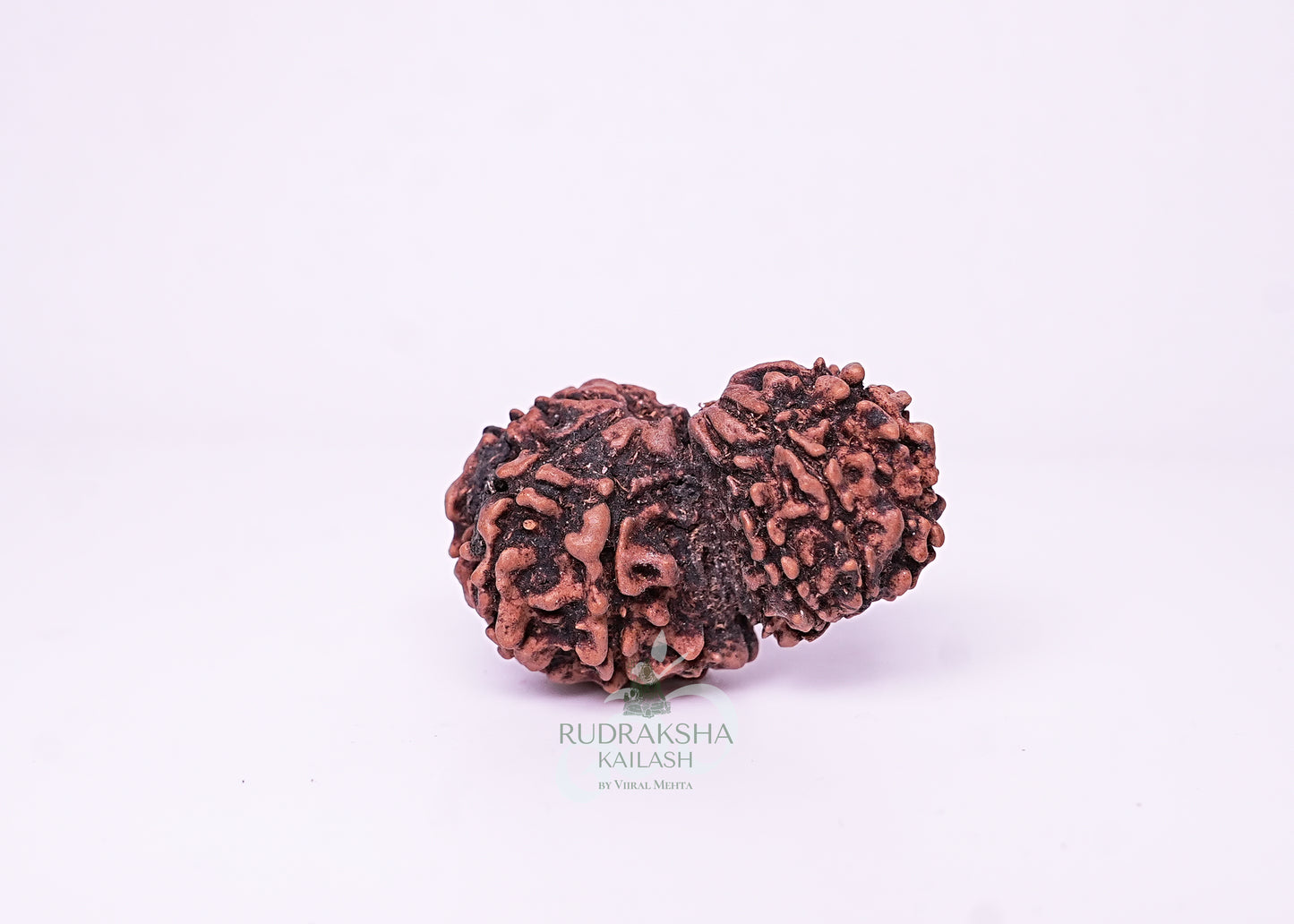 Nepal Garbhgauri - 12