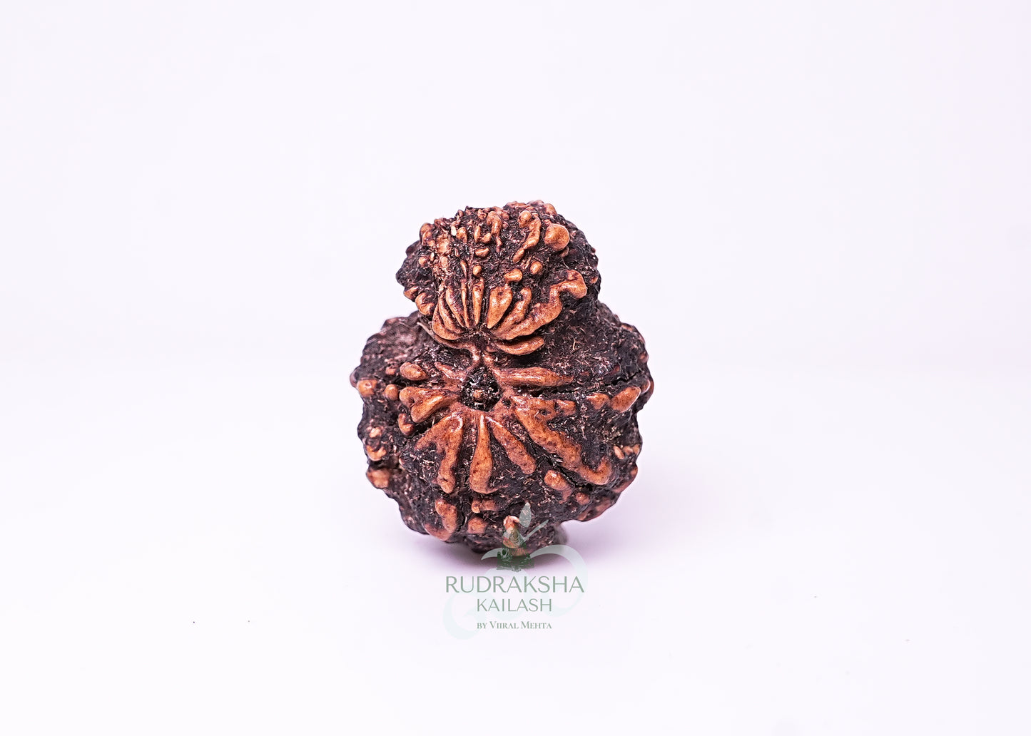 Nepal Garbhgauri - 13