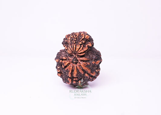 Nepal Garbhgauri - 13
