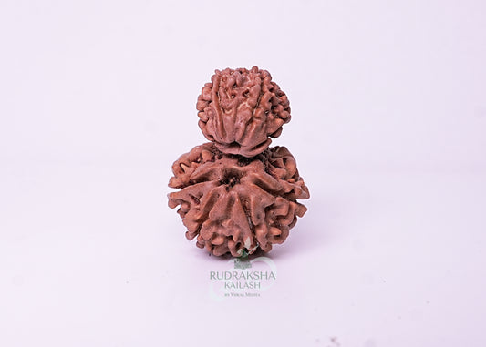 Nepal Garbhgauri - 15
