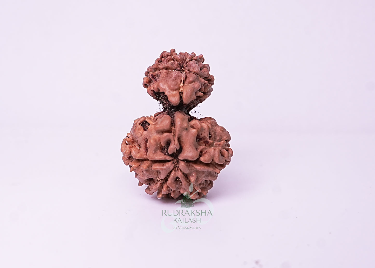 Nepal Garbhgauri - 15
