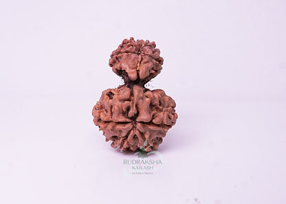 Nepal Garbhgauri - 15
