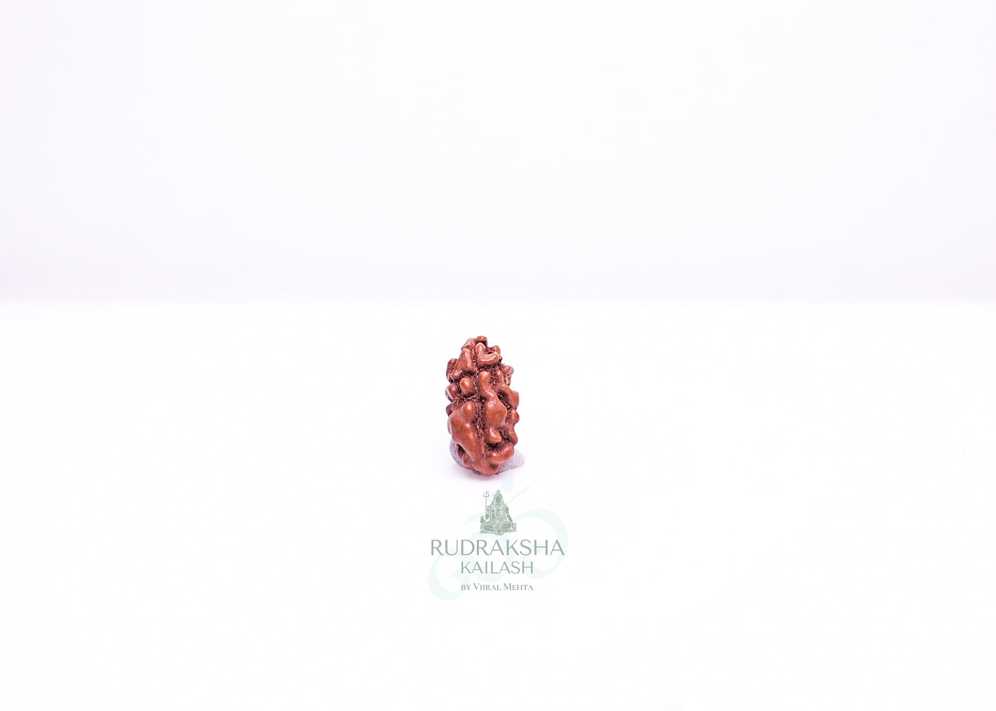 1 Mukhi Indonesian Rudraksha - 0102