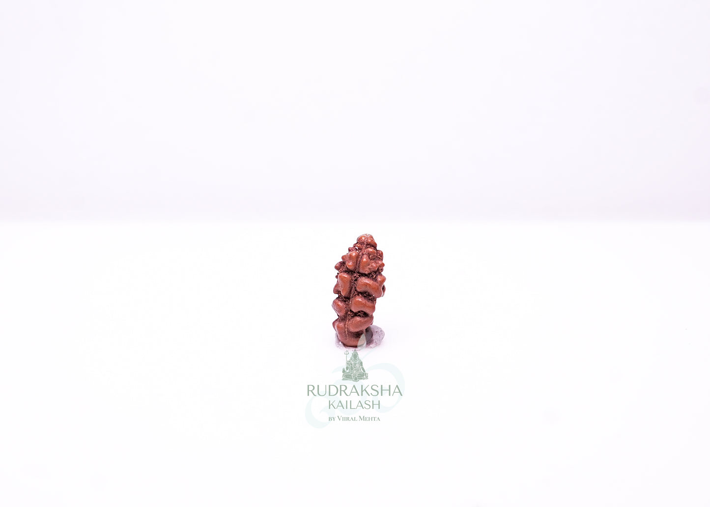1 Mukhi Indonesian Rudraksha - 0103