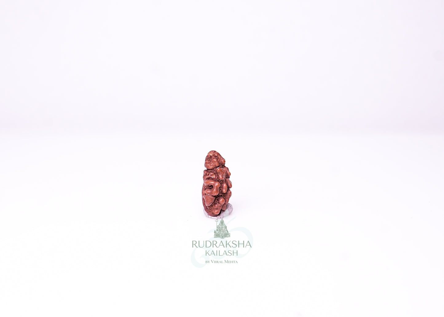 1 Mukhi Indonesian Rudraksha - 0104