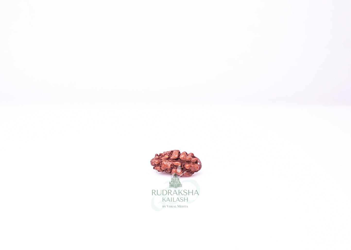 1 Mukhi Indonesian Rudraksha - 0104