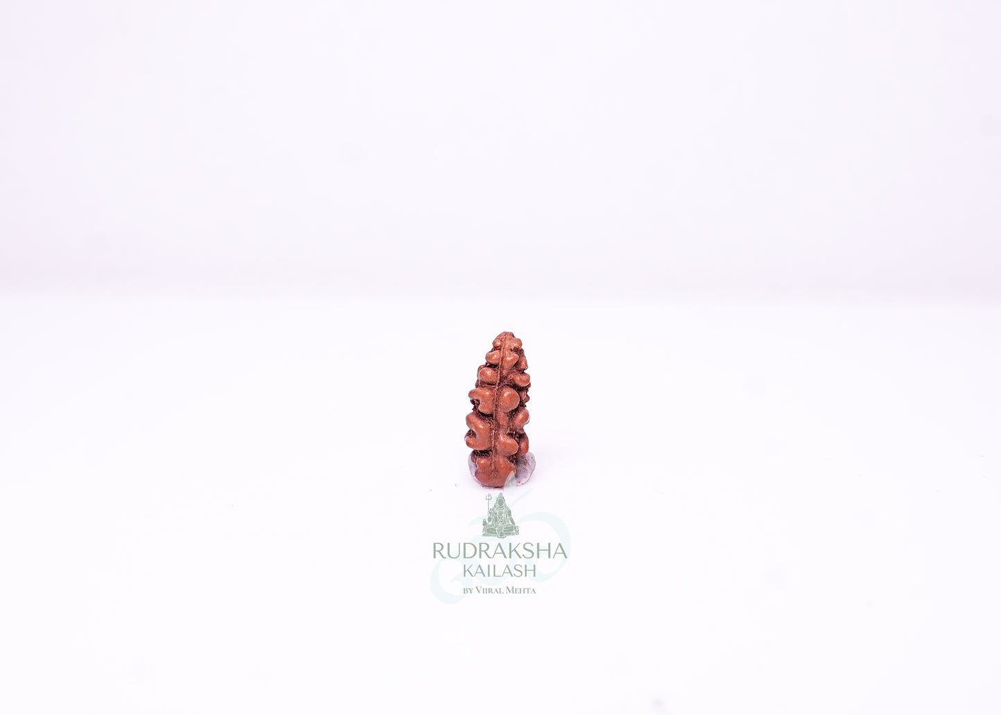 1 Mukhi Indonesian Rudraksha - 0105